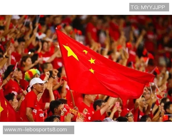 刘云飞足球生涯回顾与成就分析探讨中国足球未来发展方向